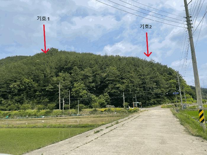 경상남도 의령군 대의면 천곡리 산78 임야 경매 사진 12