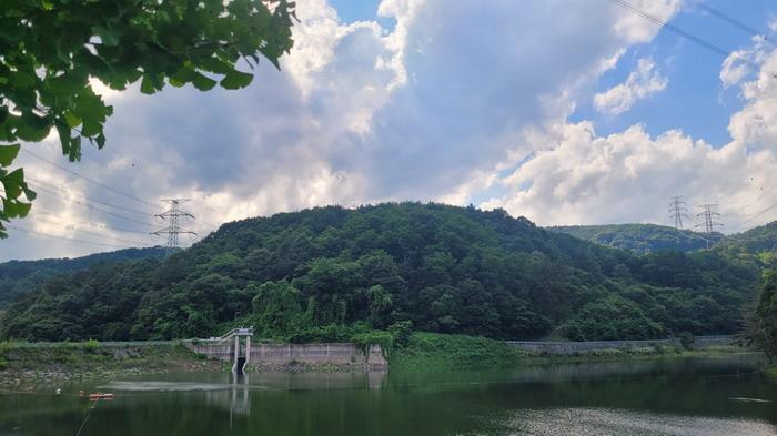 경상남도 의령군 대의면 천곡리 산46 임야 경매 사진 16