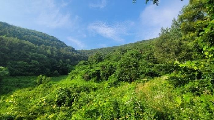 경상남도 의령군 지정면 유곡리 856 전 경매 사진 3