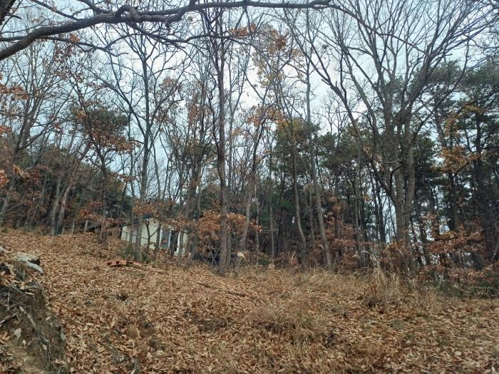 인천광역시 강화군 내가면 오상리 327-16 임야 경매 사진 3