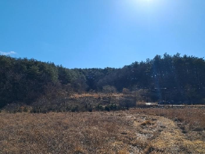 강원특별자치도 강릉시 성산면 위촌리 537 전 경매 사진 4