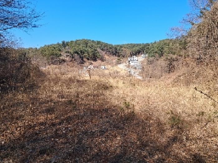 강원특별자치도 강릉시 성산면 위촌리 537 전 경매 사진 5