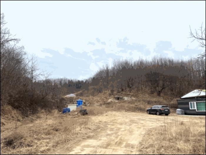 강원특별자치도 강릉시 사천면 방동리 산219-2 임야 경매 사진 2