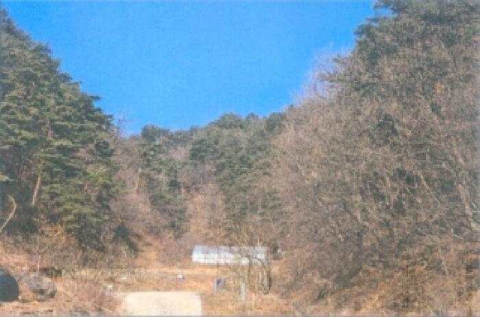 강원특별자치도 삼척시 평전동 산80 임야 경매 사진 5