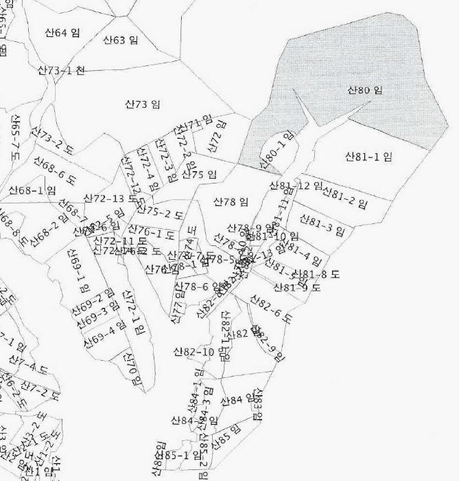 강원특별자치도 삼척시 평전동 산80 임야 경매 사진 9