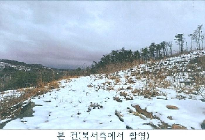 강원특별자치도 동해시 발한동 산31-6 임야 경매 사진 2