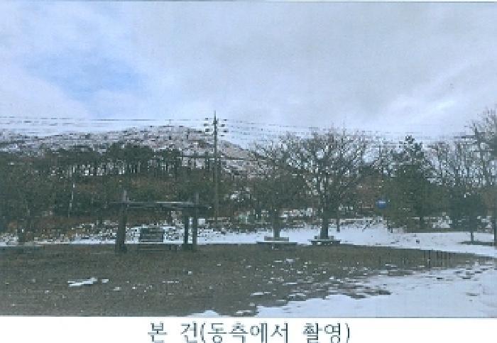 강원특별자치도 동해시 발한동 산31-6 임야 경매 사진 3
