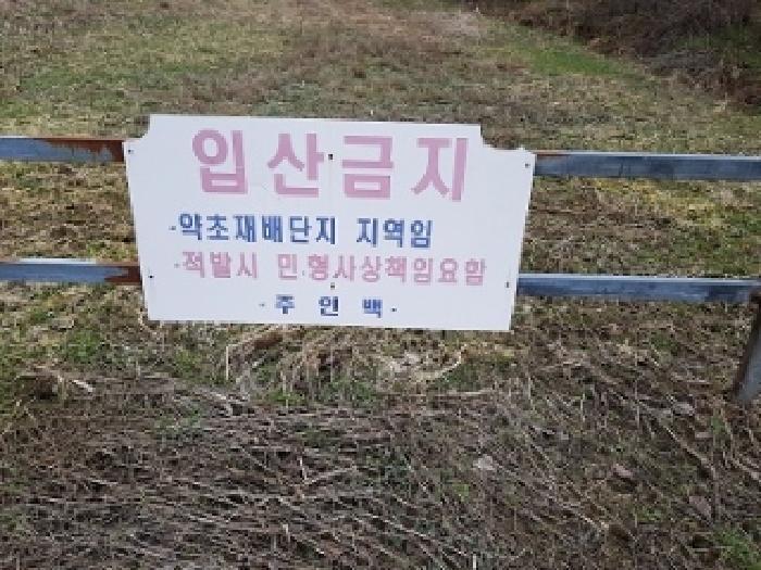 강원특별자치도 횡성군 둔내면 현천리 16 임야 경매 사진 24