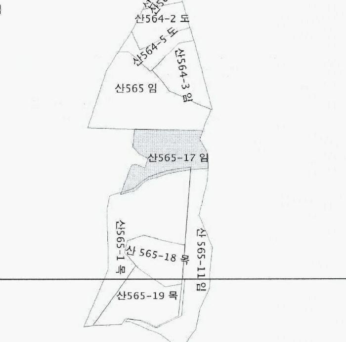 강원특별자치도 횡성군 둔내면 현천리 16 임야 경매 사진 31