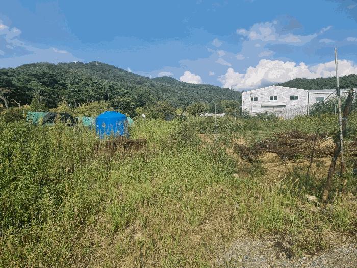 경상북도 칠곡군 지천면 연화리 218-5 답 경매 사진 1