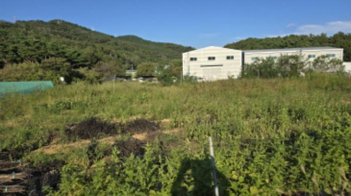 경상북도 칠곡군 지천면 연화리 218-5 답 경매 사진 6