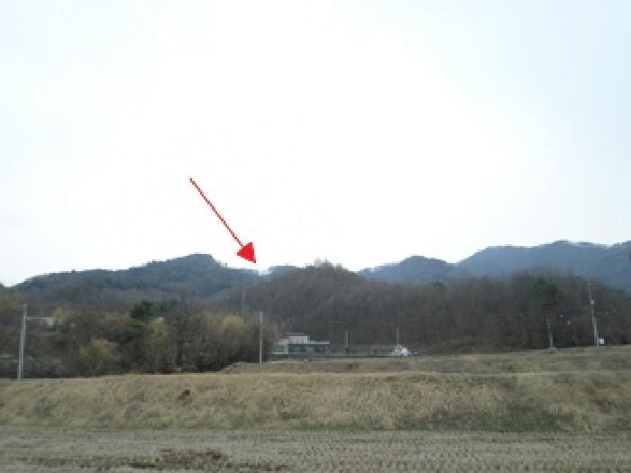 강원특별자치도 원주시 흥업면 대안리 산321-2 임야 경매 사진 4