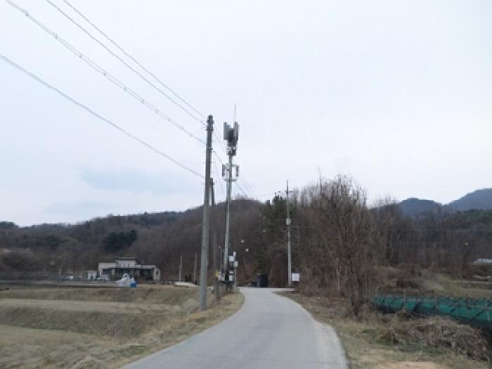 강원특별자치도 원주시 흥업면 대안리 산321-2 임야 경매 사진 5