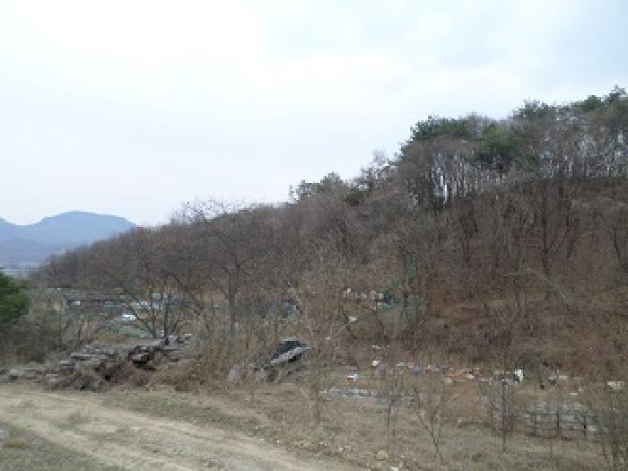 강원특별자치도 원주시 흥업면 대안리 산321-2 임야 경매 사진 7