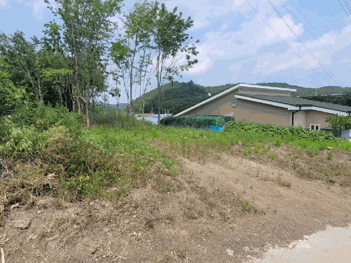 경상북도 영천시 화남면 사천리 721 과수원 경매 사진 2