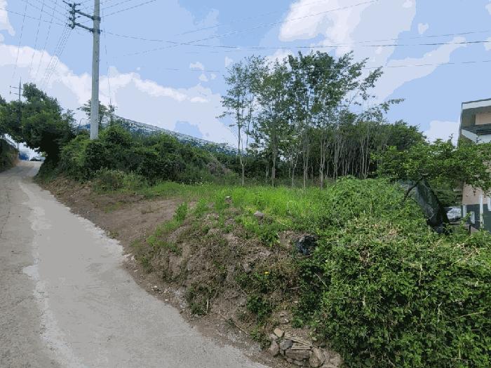 경상북도 영천시 화남면 사천리 721 과수원 경매 사진 4