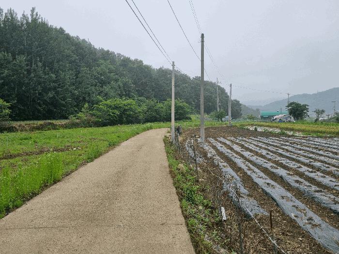 경상북도 칠곡군 가산면 송학리 765-2 답 경매 사진 2
