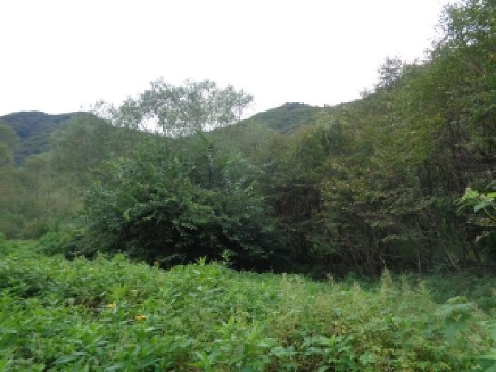 전북특별자치도 완주군 소양면 해월리 33-1 임야 경매 사진 14