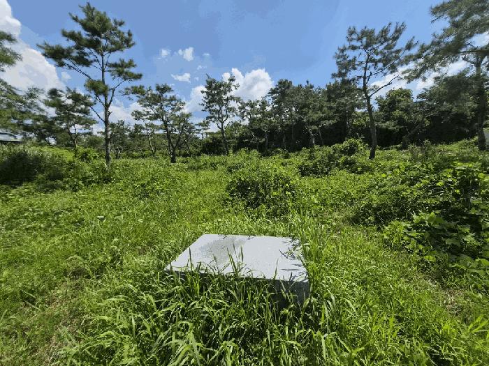 전북특별자치도 고창군 성내면 옥제리 95 답 경매 사진 5