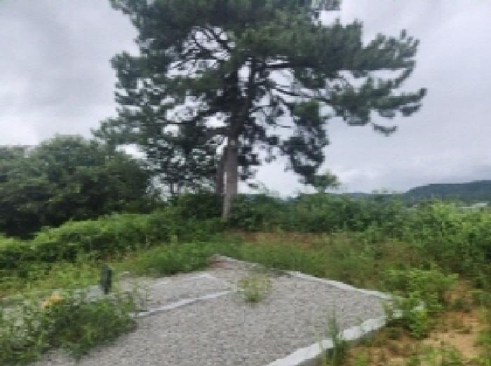 전북특별자치도 정읍시 옹동면 칠석리 422-1 임야 경매 사진 11