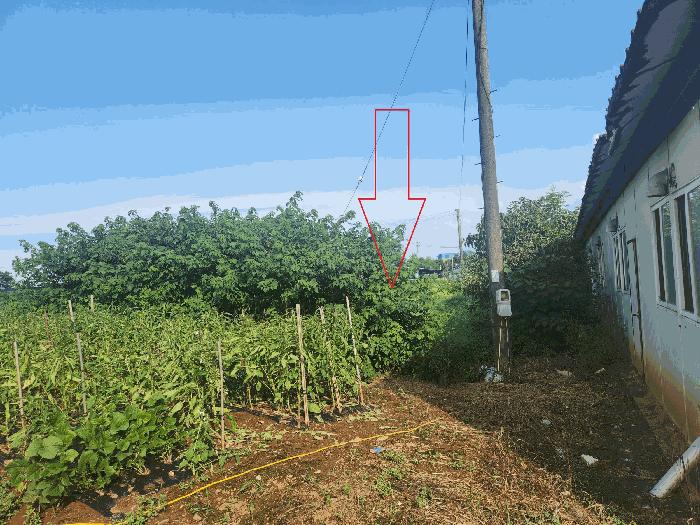 전북특별자치도 부안군 보안면 남포리 235-11 창고 경매 사진 20