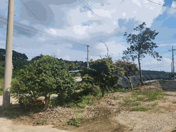 전북특별자치도 부안군 보안면 남포리 235-11 창고 경매 사진 32