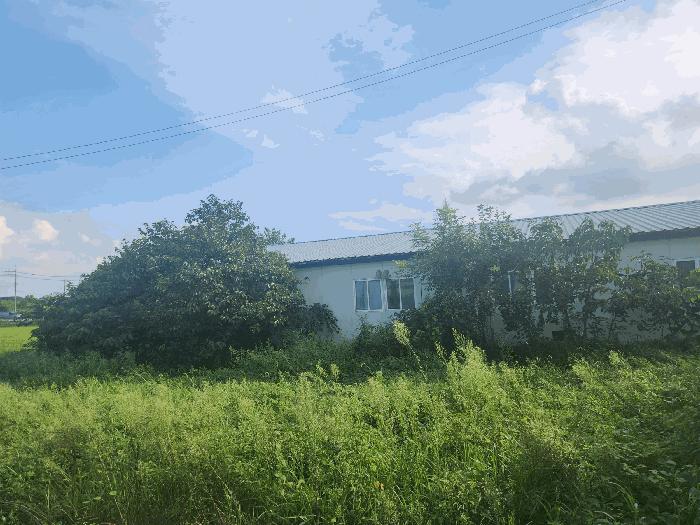 전북특별자치도 부안군 보안면 남포리 235-11 창고 경매 사진 33