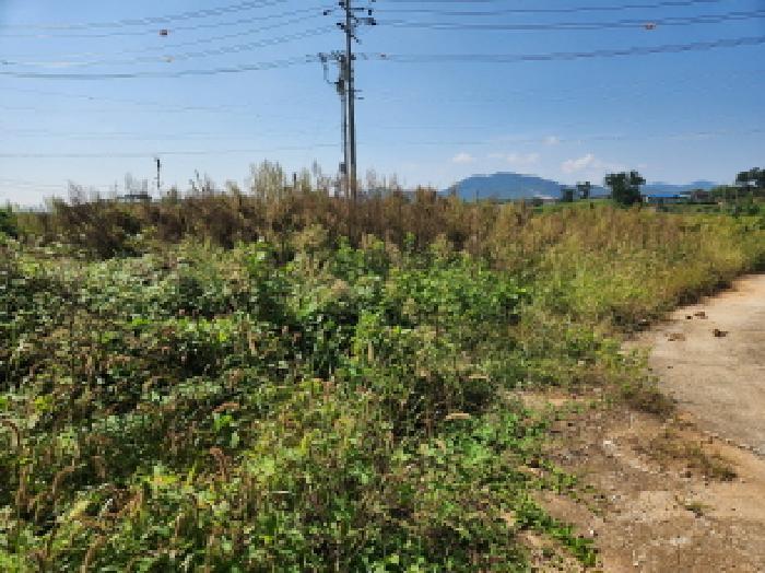 전북특별자치도 부안군 보안면 남포리 235-11 창고 경매 사진 73
