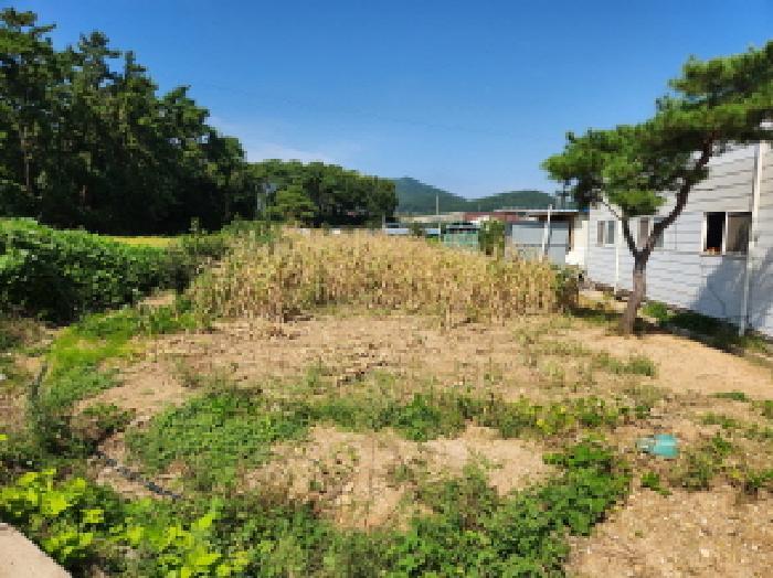 전북특별자치도 부안군 보안면 남포리 235-11 창고 경매 사진 74