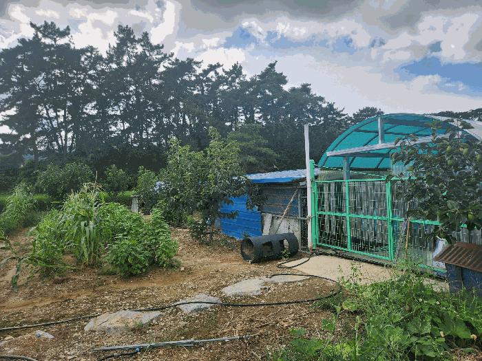 전북특별자치도 부안군 보안면 남포리 235-11 창고 경매 사진 8