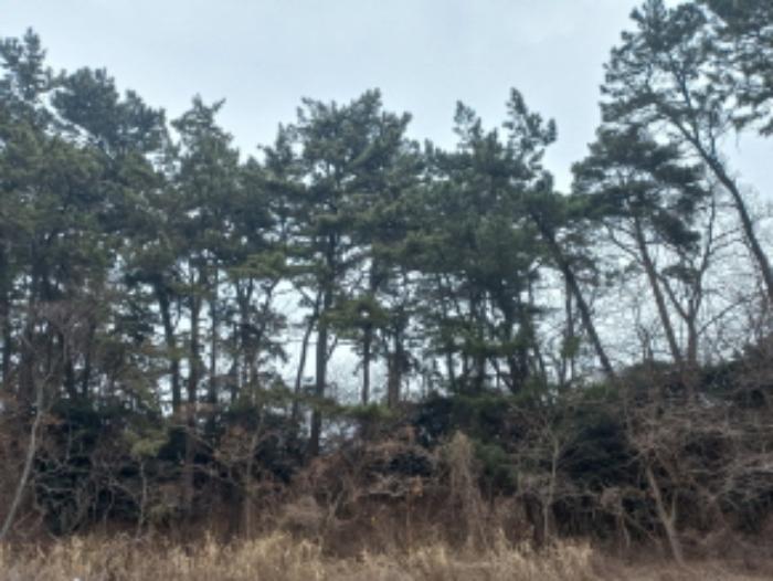 경상남도 남해군 고현면 갈화리 204 전 경매 사진 35