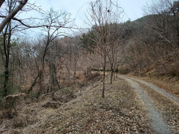 경상남도 남해군 고현면 갈화리 1153 답 경매 사진 19