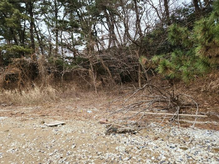 경상남도 남해군 고현면 남서대로2979번길 7-3구) 경상남도 남해군 고현면 갈화리 1389 주택 경매 사진 12