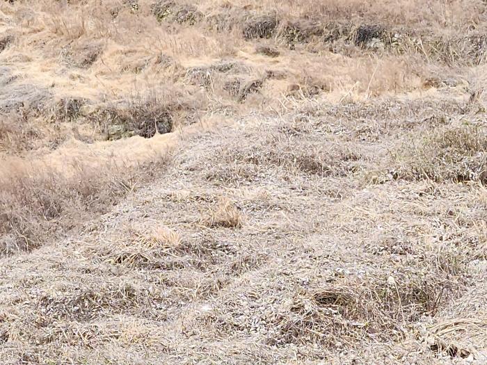 경상남도 남해군 고현면 남서대로2979번길 7-3구) 경상남도 남해군 고현면 갈화리 1389 주택 경매 사진 15