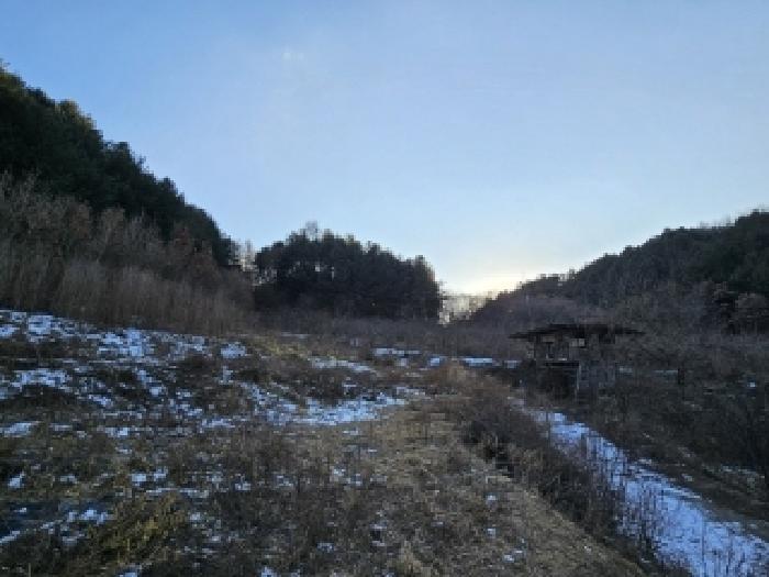 경상북도 봉화군 명호면 풍호리 893 전 경매 사진 28