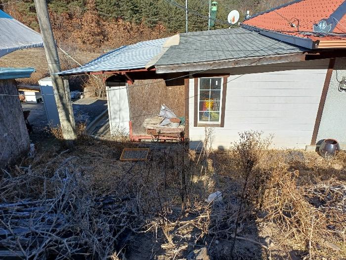 경상북도 봉화군 명호면 풍호리 893 전 경매 사진 6