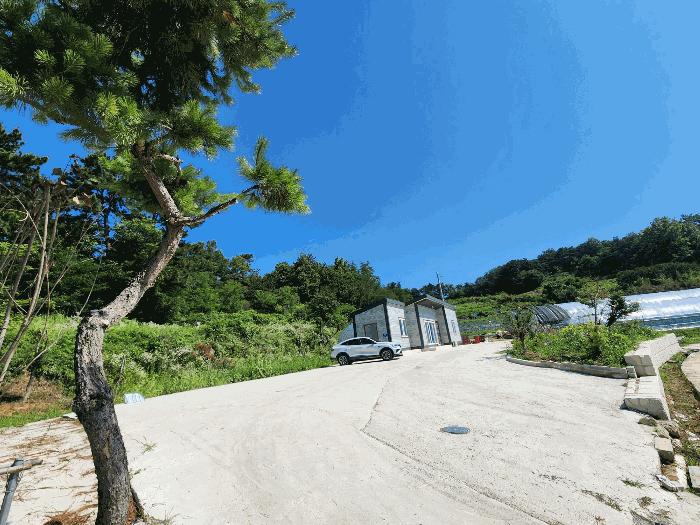 전북특별자치도 정읍시 정우면 우산리 산138-1 임야 경매 사진 3