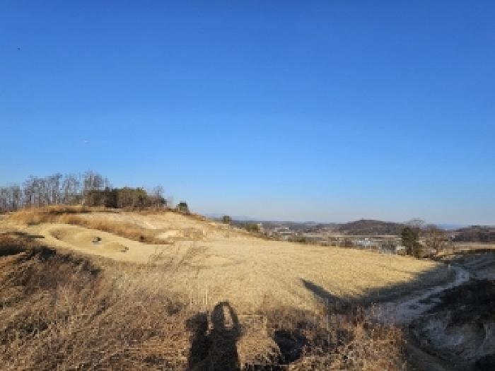 경상북도 영주시 봉현면 대촌리 432-2 전 경매 사진 1