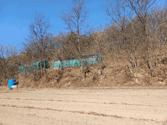 경상북도 안동시 와룡면 이상리 산99-2 임야 경매 사진 2