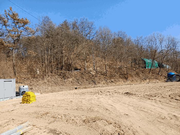 경상북도 안동시 와룡면 이상리 산99-2 임야 경매 사진 3