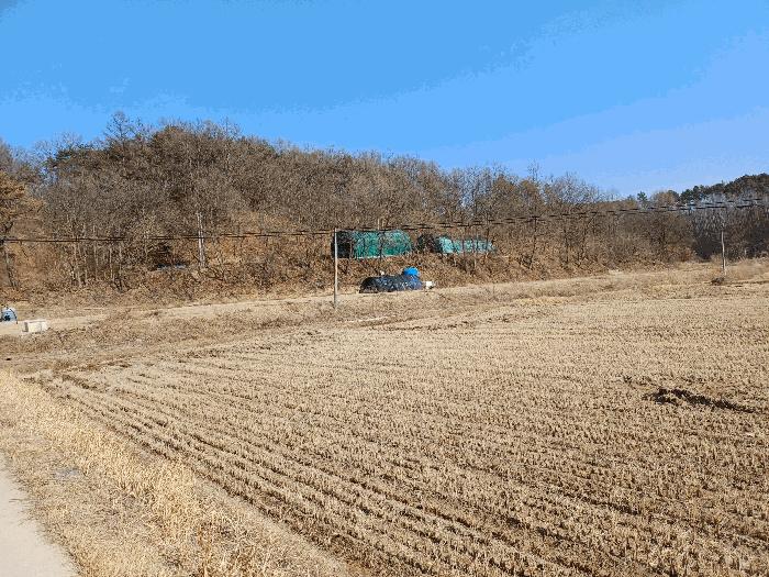 경상북도 안동시 와룡면 이상리 산99-2 임야 경매 사진 4
