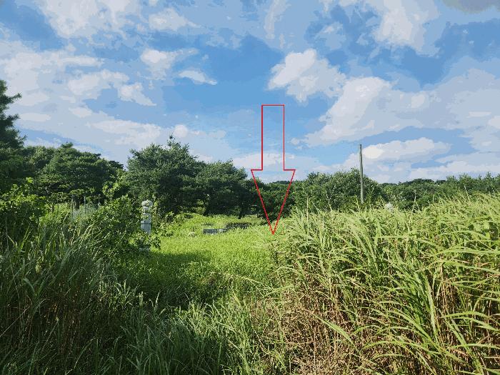 전북특별자치도 고창군 신림면 덕화리 351-2 전 경매 사진 2
