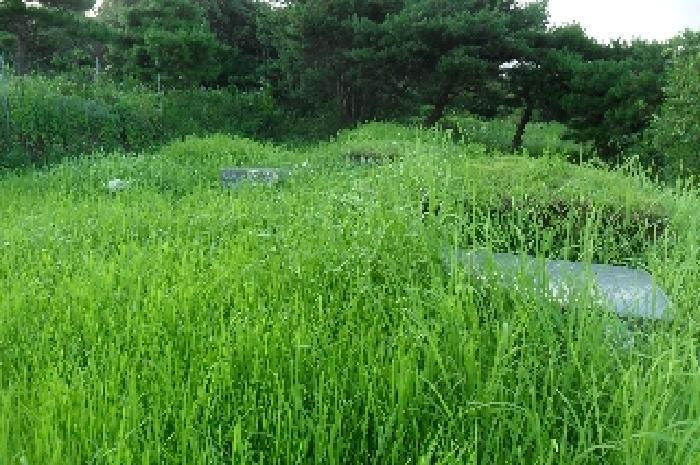 전북특별자치도 고창군 신림면 덕화리 351-2 전 경매 사진 7
