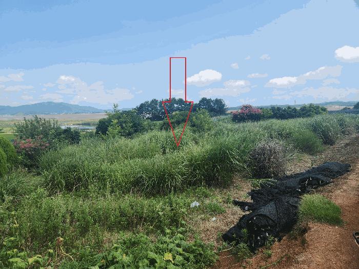 전북특별자치도 고창군 부안면 수앙리 500-15 임야 경매 사진 5