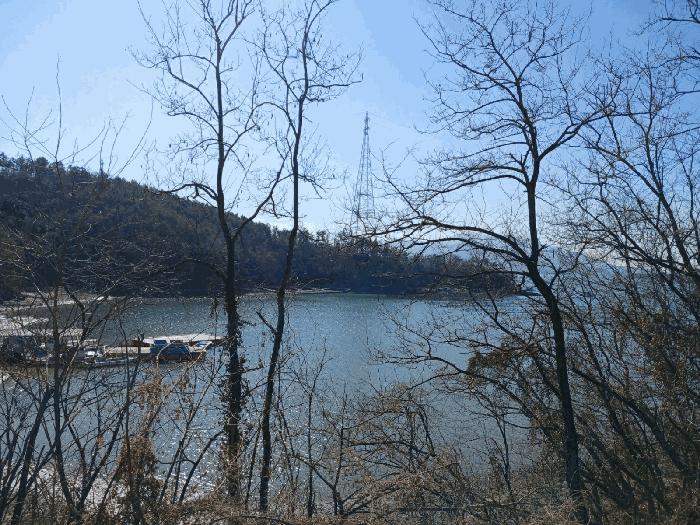 경상남도 하동군 금남면 송문리 산196 임야 경매 사진 2