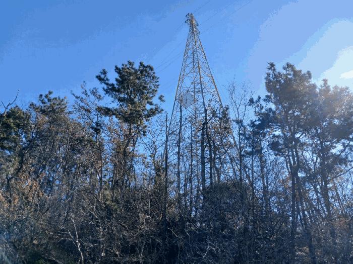 경상남도 하동군 금남면 송문리 산196 임야 경매 사진 3