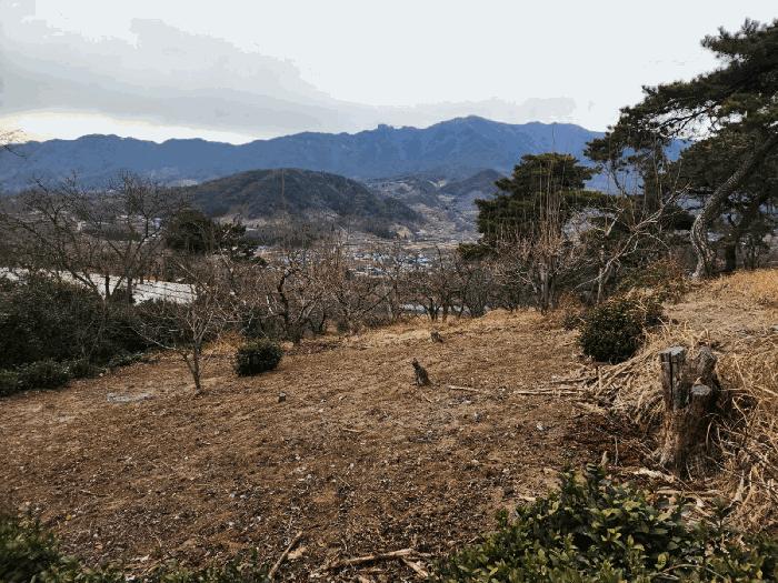 경상남도 하동군 악양면 신흥리 761-3 임야 경매 사진 7
