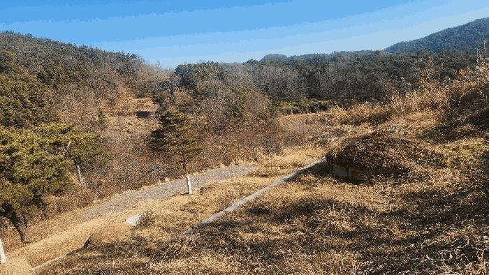 경상남도 사천시 곤양면 대진리 산62-2 임야 경매 사진 2