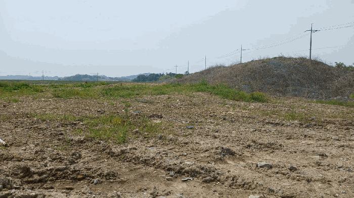 경상남도 사천시 서포면 다평리 1437 답 경매 사진 20