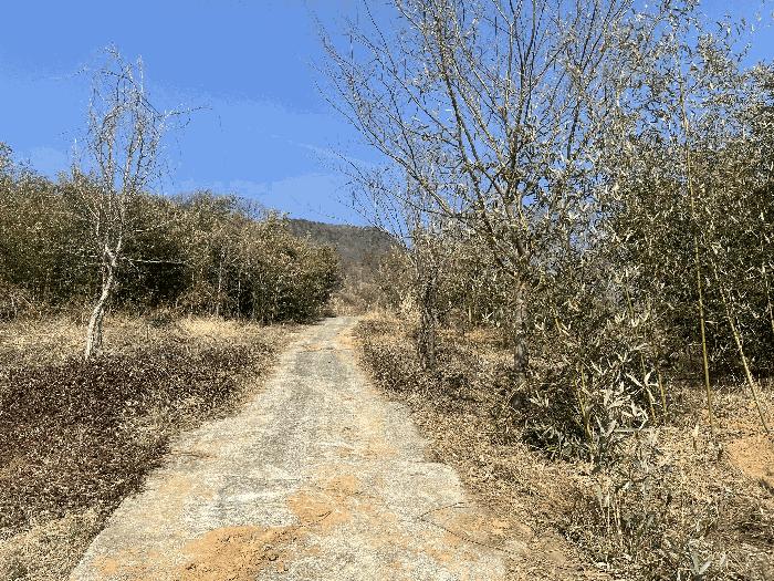 경상남도 하동군 악양면 평사리 916-1 임야 경매 사진 2